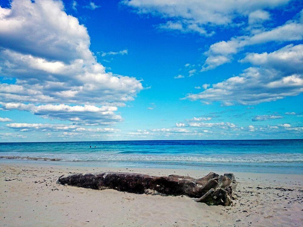 ホテル Alaya Tulum By Ahau Collection エクステリア 写真
